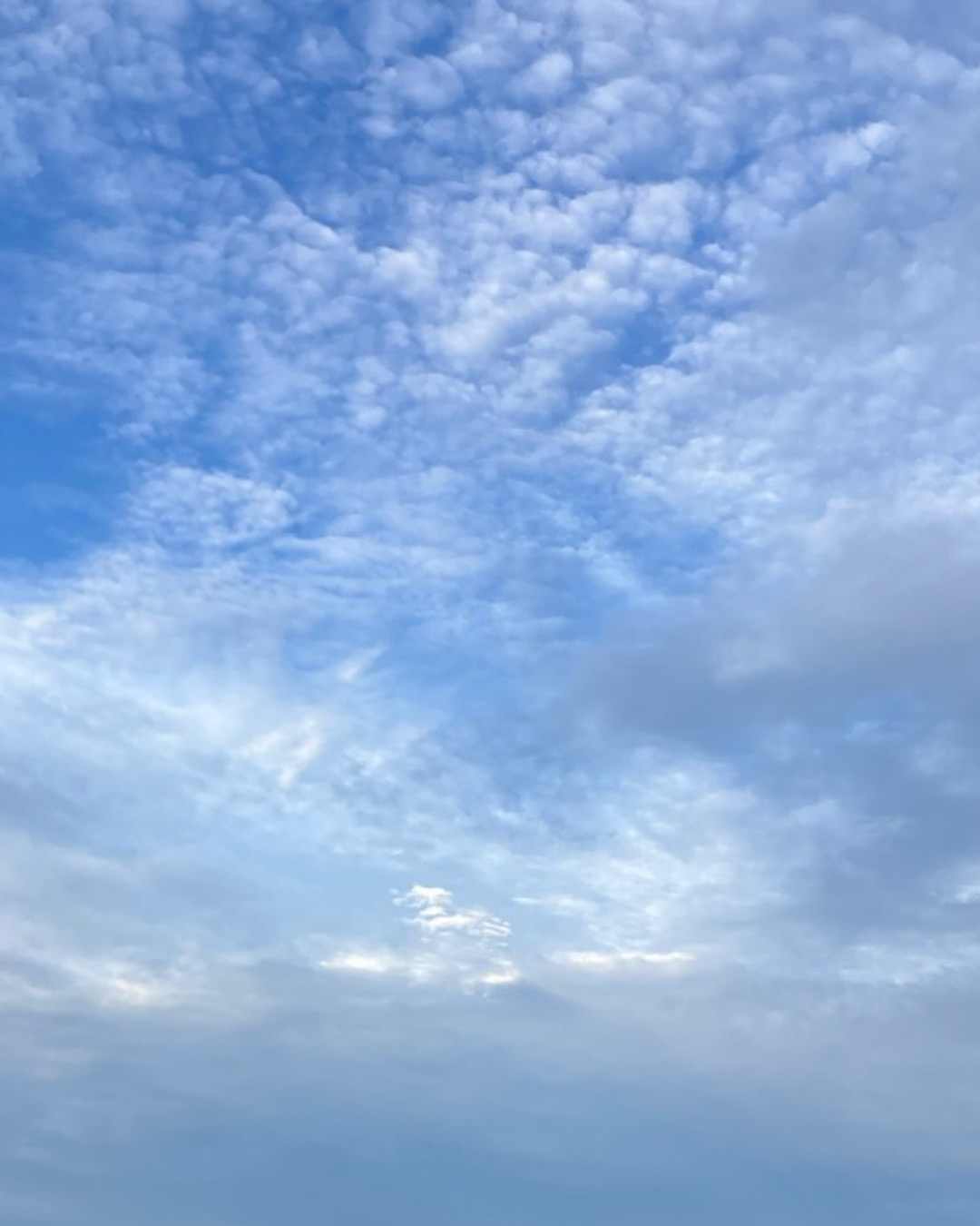 ダウンロード (9)
